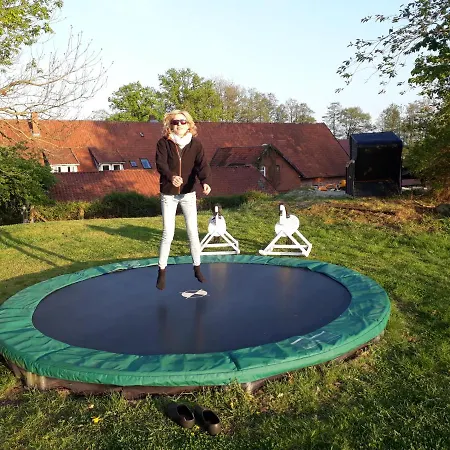 Schwalbennest * Walsrode