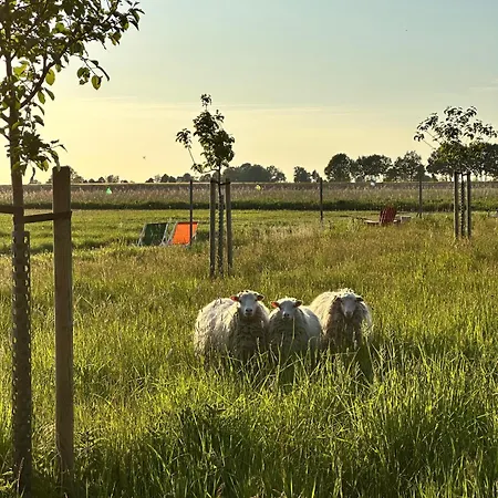 Schwalbennest Walsrode